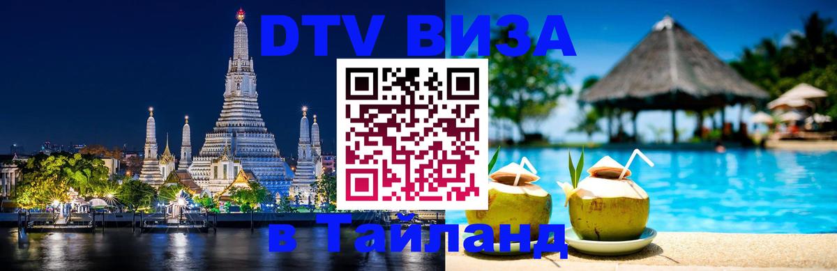 Как сделать DTV визу в Тайланд Бердск 